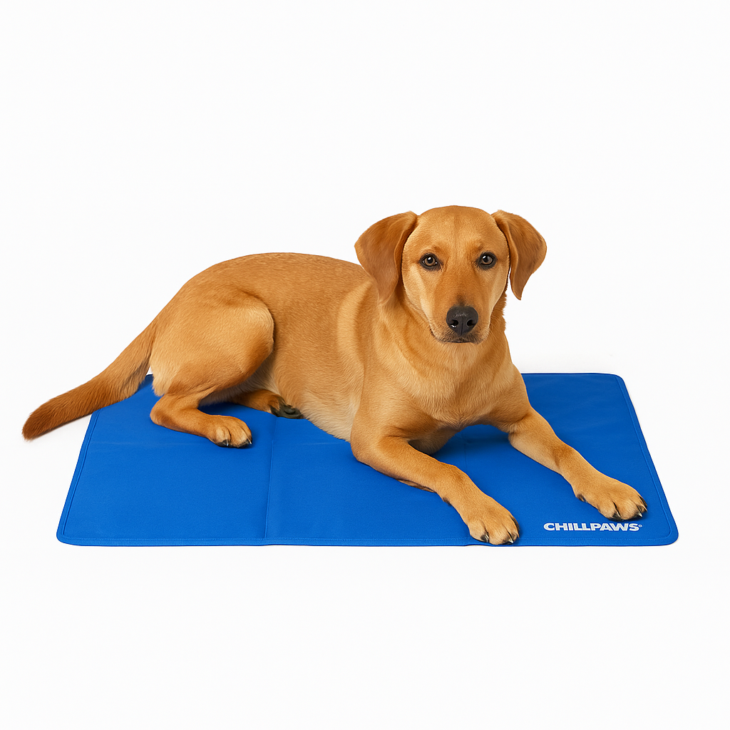Chill Paws ™ Cooling Pad